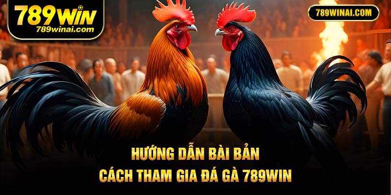 Hướng dẫn bài bản cách tham gia đá gà 789Win