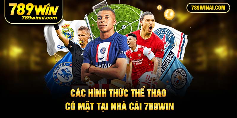 Các hình thức thể thao có mặt tại nhà cái 789win