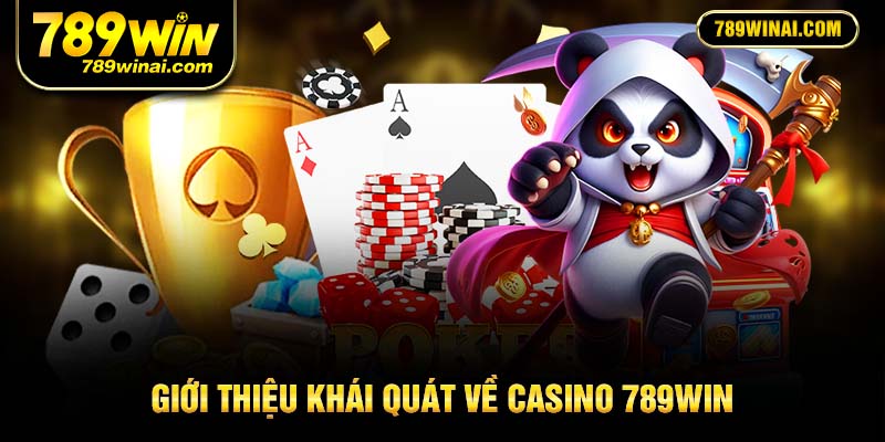 Giới thiệu khái quát về casino 789win