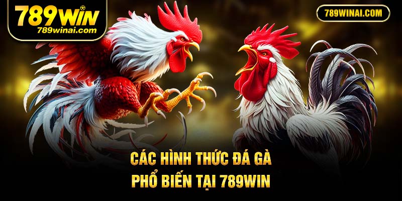 Các hình thức đá gà phổ biến tại 789Win
