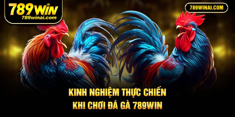Kinh nghiệm thực chiến khi chơi đá gà 789Win